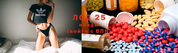 стафф Богородицк