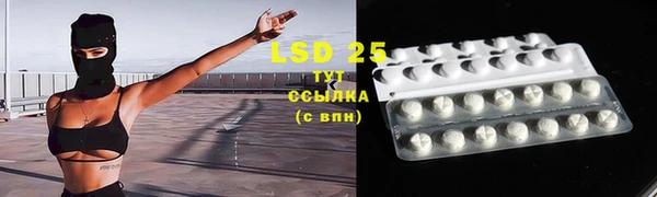 стафф Богородицк