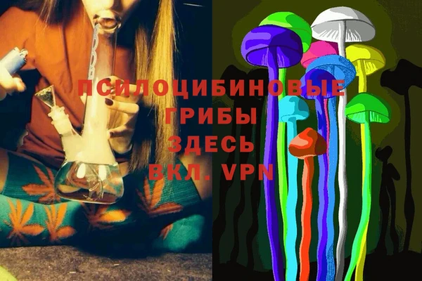 стафф Богородицк