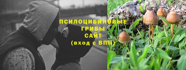 стафф Богородицк